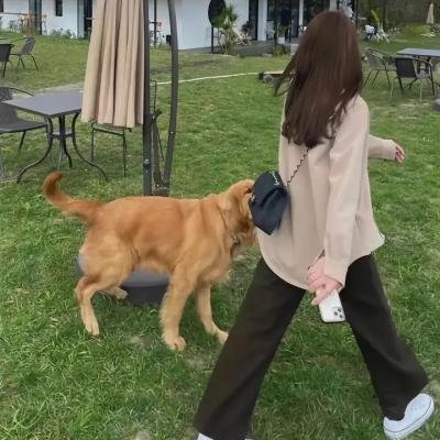 酒鬼奶奶